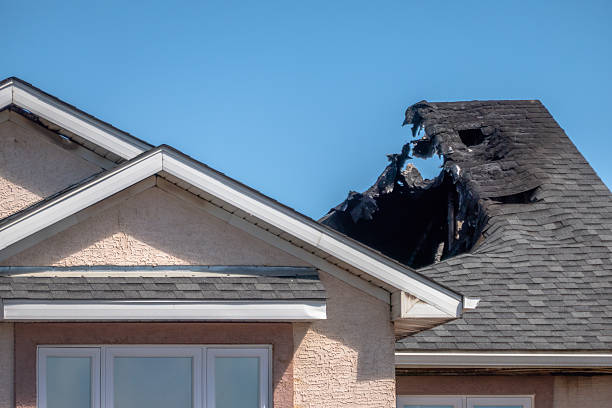 Licensed Content Restoration service in Balm, FL - Fire Damage Biloxi